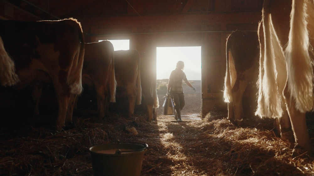 Dokumentarische Szene aus einer Branded Documentary über Alpwirtschaft in Grindelwald