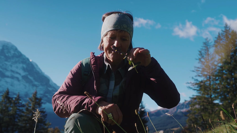 Frau sammelt alpine Kräuter – dokumentarische Szene aus einer Branded Documentary in Grindelwald