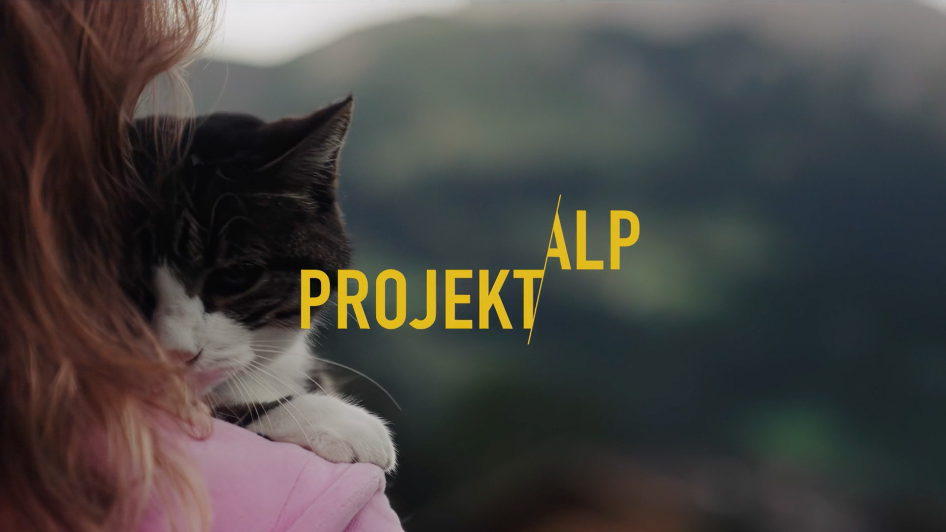 Junge Frau arbeitet in einem dunklen Innenraum, Gegenlicht durch ein Fenster, Staubpartikel in der Luft, Huhn im Hintergrund.