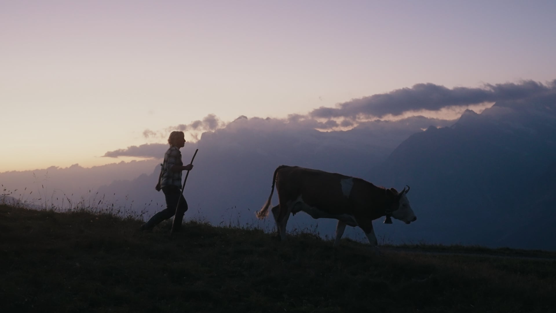 Bergbäuerin Annerös Steuri führt eine Kuh vor der Bergkulisse von Grindelwald